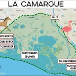 Instant Insolite Dans Un Bateau Aux Portes De La Camargue