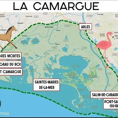 Instant Insolite Dans Un Bateau Aux Portes De La Camargue
