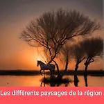Πλωτό κατάλυμα Instant Insolite Dans Un Bateau Aux Portes De La Camargue *