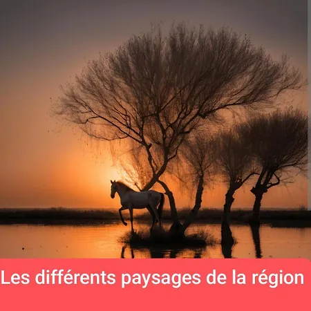 بوتيل Atypique Sur L'eau Aux Portes De La Camargue *