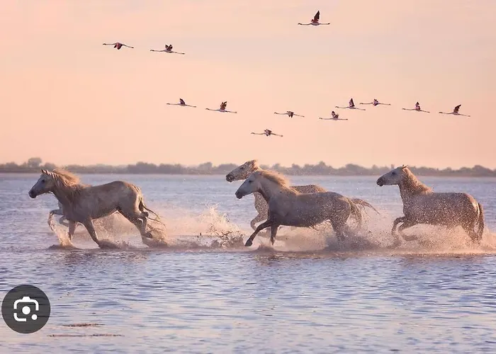 Atypique Sur L'eau Aux Portes De La Camargue Le Grau-du-Roi