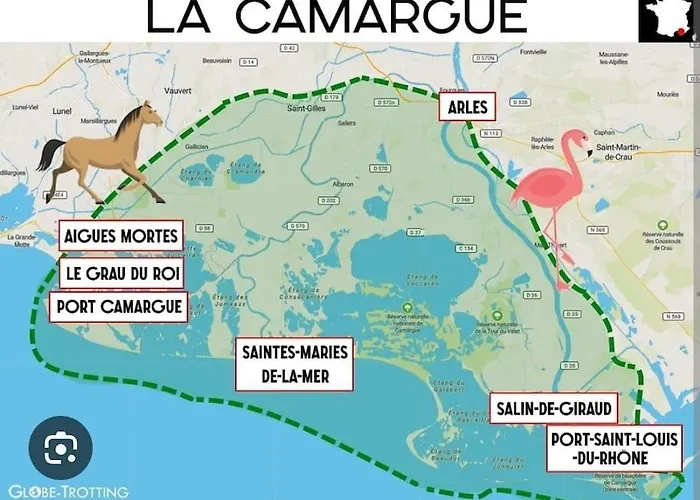 Instant Insolite Aux Portes De La Camargue