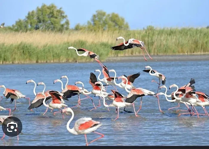 Ботель Instant Insolite Aux Portes De La Camargue